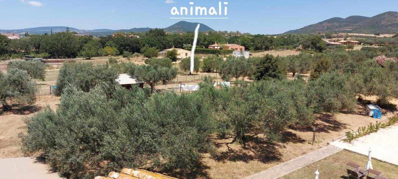 Villa Klinai 체르베떼리 외부 사진